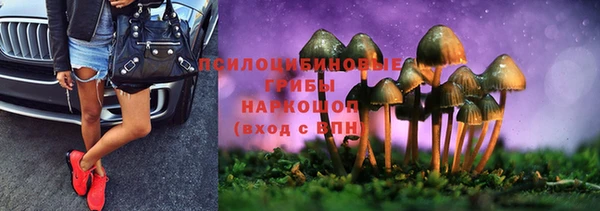 ALPHA-PVP Богородицк