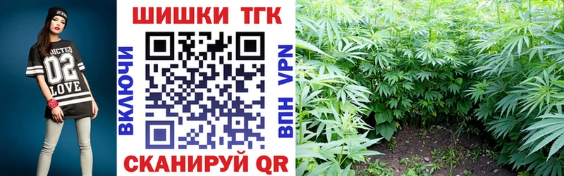 закладки  shop Telegram  Каннабис White Widow  Кировск 
